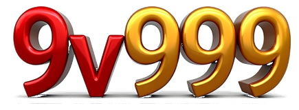 9v999